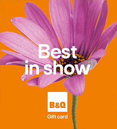 Best In Show Flower